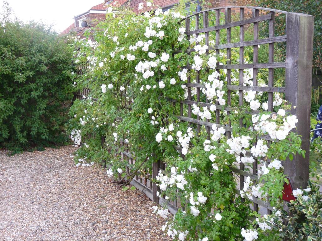 Bed and Breakfast Ashdene House Dersingham Екстер'єр фото